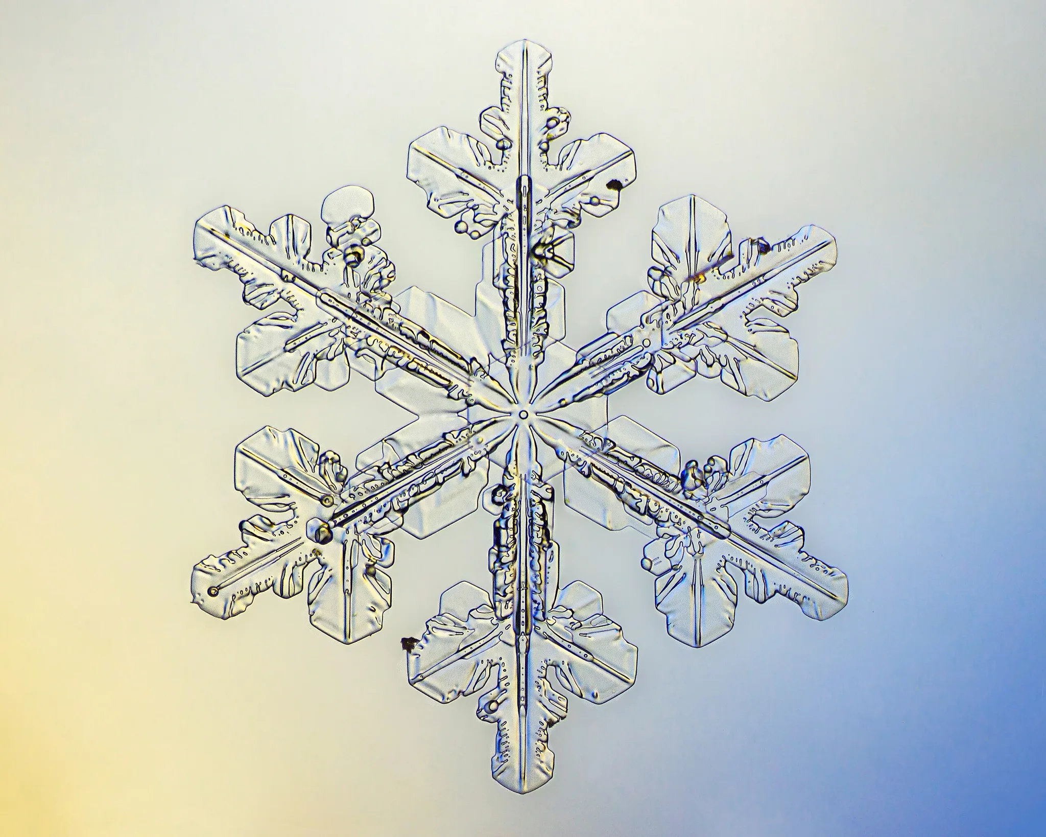 emergent snow flake png